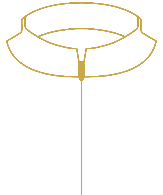 Polo Collar 2.0